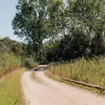 Efkaliptos