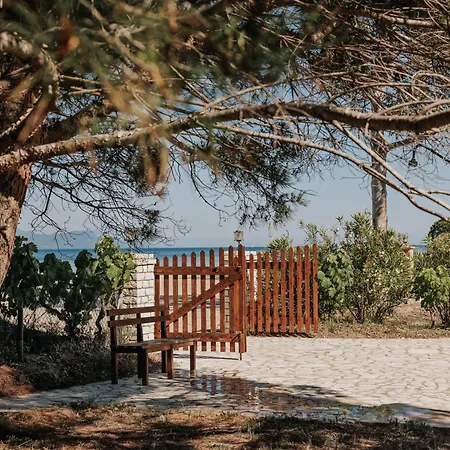 Efkaliptos * Λευκίμμη