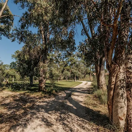 Efkaliptos Σπίτι διακοπών Λευκίμμη