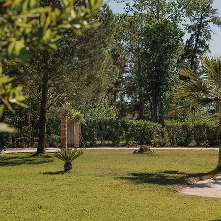 Hébergement de vacances Efkaliptos Lefkimi