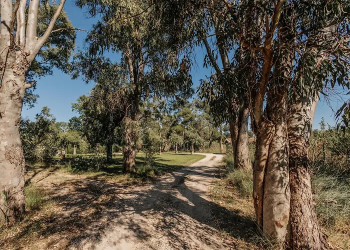 Efkaliptos Feriehus Lefkímmi