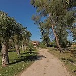 度假居 Efkaliptos 莱夫基米
