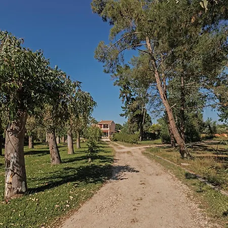 Casa vacanze Efkaliptos Lefkimmi (Corfu)