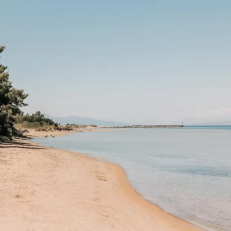 Ferienhaus Efkaliptos Lefkímmi